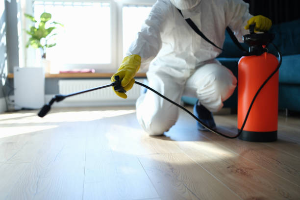 Reliable Sewage Cleanup contractor in Trenton, IL by Trauma Clean Pros